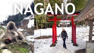 nagano, japan vlog  jigokudani snow monkey park, exploring yudanaka onsen, spirited away adventure