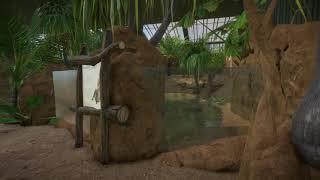 WereldWijd - Planet Zoo - Zoo Sims United (ZSU)