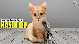 Kucing Nyanyi Lagu KASIH IBU | Spesial Hari Ibu | Dunia Kucing TV
