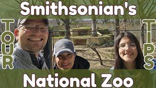 Smithsonian's National Zoo | March 2023 | Tour & Tips