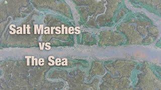 Salt Marshes vs The Sea