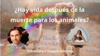 Entrevista Laura Vidal a Joaquín Cámara - ¿Hay vida después de la muerte para los animales?