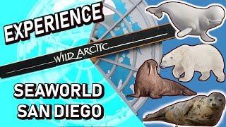 Wild Arctic Ride and arctic animals at SeaWorld San Diego