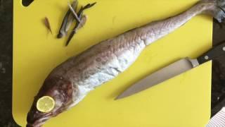 Cleaning Alaska Pollock for Dongtae Jjigae