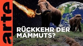 Ein Mammut-Projekt - Wiedergeburt ausgestorbener Arten | Doku HD | ARTE