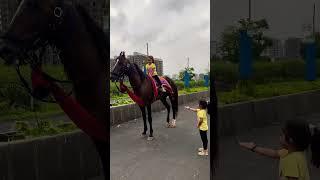 Horse video  | #horse #horses #ghoda #cutebaby #ytshorts #viral #trending #shortsfeed #ytvideo