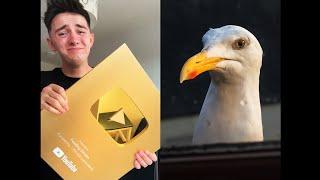 Giving My Pet Seagull His Gold Youtube Play Button!!