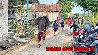 BARONGAN NGAMUK NGEJAR ORANG !! Arak Arakan Barongan Blora Reog MARSUDI BUDOYO