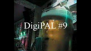 DigiPAL #9