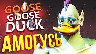 [Goose Goose Duck] АМОГУСЬ - СЕГОДНЯ Я ОЖГУСЬ