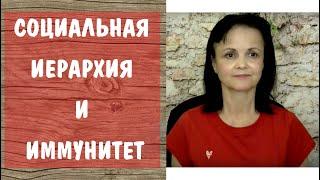 Как социальная иерархия влияет на иммунитет. * Почему нарциссы и психопаты не болеют?