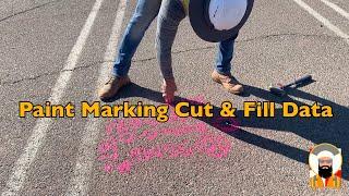 Surveying: Paint Marking Cut & Fill Data