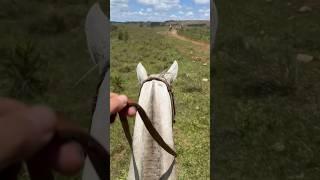  VÍDEO ENVIADO POR UM AMIGO/JOÃO RICARDO-COXILHA RICA-SANTA CATARINA-SC #fazenda #prosas #cavalo