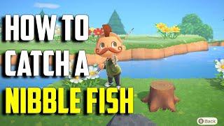 How to Catch a Nibble Fish | Nibble Fish ACNH | Animal Crossing New Horizons Nibble Fish | ACNH Fish