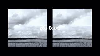 fly love (loop)