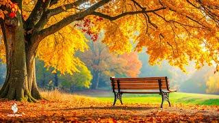 Beautiful Relaxing Music  Stop Overthinking, Stress Relief Music With Autumn Melodie