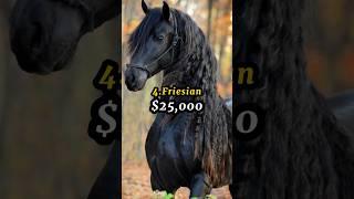 Top 10 Expensive Horse Breeds in the World|| #youtubeshorts #ytshorts #viralshorts #shorts