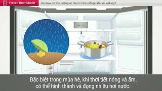 [Hướng dẫn sử dụng] Xử lý tủ lạnh bị đọng hơi nước trên ngăn mát hoặc bị rò rỉ