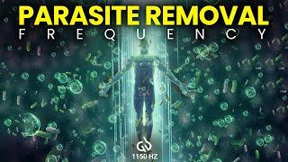 Parasite Removal Frequency: 1150 HZ Rife Frequency, Destroy Parasites