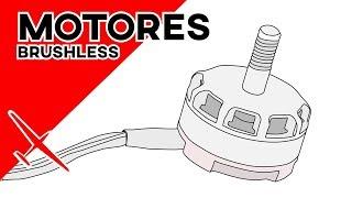 Motores brushless o sin escobillas | RC para principiantes