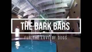 The Bark Bars - Fur the Love of Dogs