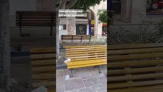 Как будто я в России #Мексика #Гвадалахара #голуби #Россия
