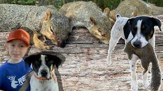 Squirrel Hunting With A DOG/The Beauty of Training A New Pup In 2024