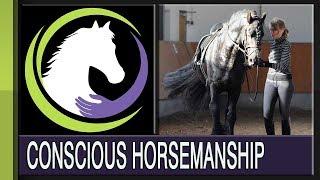 Conscious Horsemanship: Finding Physical and Emotional Balance