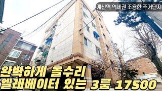 [인천 계양구] 완벽하게 올수리되어 있는 엘레베이터 있는 3룸 17500만원!! 계산역 역세권 조용한 주거단지