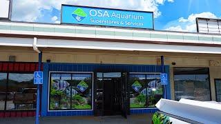 OSA in Groton, CT