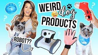 TESTING WEIRD DOG PRODUCTS! Pet Gadgets + Smart Home Robot | Ariel Hamilton