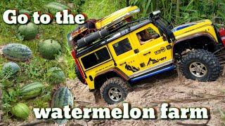 Rc Crawler Traxxas Trx4 Defender sets out to visit the watermelon farm. 1/10 scale rc car defender