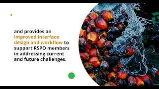 Roundtable on Sustainable Palm Oil (RSPO) CTTS