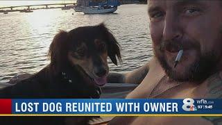 Sarasota dog survives harrowing ordeal in stormy waters