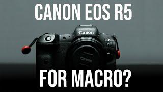 Why I bought a Canon EOS R5 for macro photography