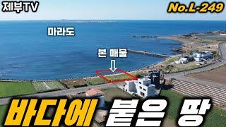 내 땅에 바닷물이 들어오다니 L-249 수중 공원을 만들까? 제주도 부동산 매물,Jeju House for sale,Korea,제주도부동산TV