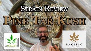 Strain Review - Pine Tar Kush - Pacific Cannabis