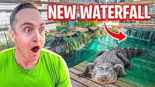 I Built My Alligators A NEW Waterfall!