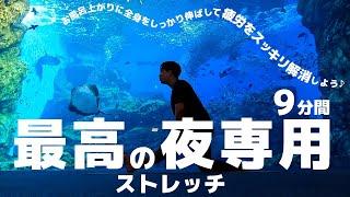 【全身がラクになる】一日の疲れを消し去る極上9分ストレッチ！【最高の夜専用 in仙台うみの杜水族館】