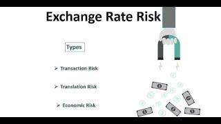 What is Foreign Exchange Rate Risk