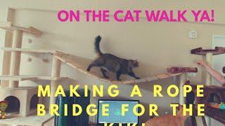 diy suspension bridge between cat trees