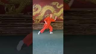 #Shaolin master teaches #Longquan Dragon Form! #martialarts #kungfu