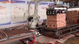 Full Auto Semi-Auto Clay Cement Brick Block Packing Machine