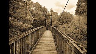 Exploring Ness Glen Trail Loch Doon | Ayrshire walks