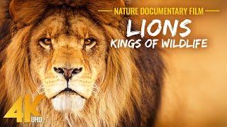 Löwen | Könige der afrikanischen Tierwelt | 4K Naturdokumentarfilm