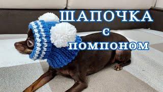 Шапочка с помпоном для собак, вязание спицами,  hat for dogs