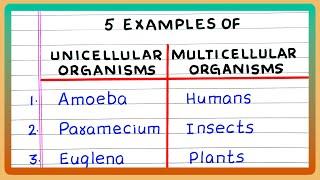 EXAMPLES OF UNICELLULAR AND MULTICELLULAR ORGANISMS