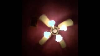 Ceiling fan