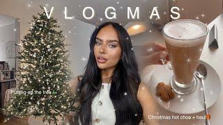 VLOGMAS DAY 1 - DECORATING MY TREE | Burgundy + neutral aesthetic | Huge Christmas decor haul