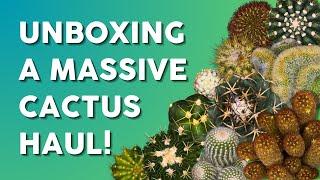 A Collector's Dream: Unboxing Over 40+ Unique Cacti! 